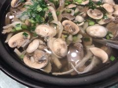 -桃园山庄(海澜飞马水城店)