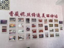 -香薇妮丝·定制减肥·身材管理