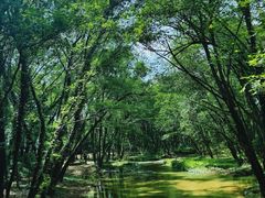 -西溪南古村落景区