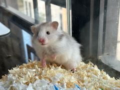 -吴山花鸟城-停车场