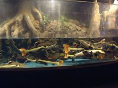 android_upload_pic-洛阳龙门海洋馆