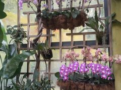 -鼋头渚风景区-王昆仑故居