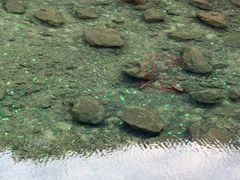 -宁波五龙潭景区