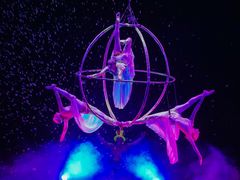 -广州长隆国际大马戏