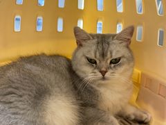 -芭比堂宠物医院·全科爱猫医院·仁德分院