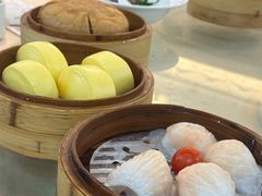 -益健美食大广场(北岭店)