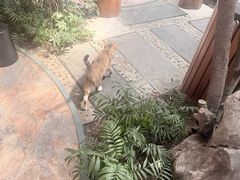 -九尊食上(生态园林酒店)