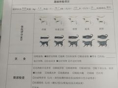 -北京观赏动物医院·24小时大型综合·猫专科·异宠专科