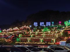 -枇杷园食为鲜火锅(南山店)