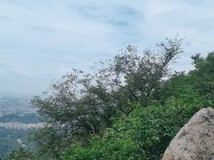 -紫金山山顶公园