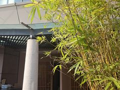 -青藤茶馆(凤起路店)