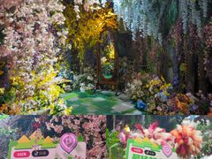 -正佳雨林生态植物园