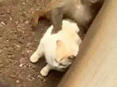 -昆明动物园