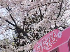 -南浦大桥长途旅游客运站