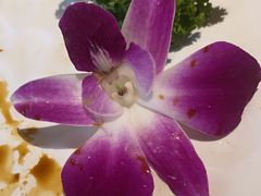 -唐猫庭院·千年陕菜(大唐不夜城店)