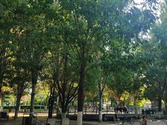 -长白岛森林公园