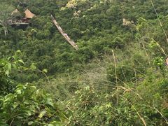 -三亚亚龙湾人间天堂鸟巢度假村