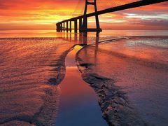 -港珠澳大桥码头