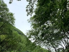 -少华山国家森林公园