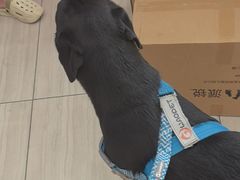 -申普宠物医院·眼科·心内科·影像科(普陀分院)