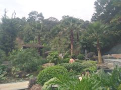 -汇雅温泉