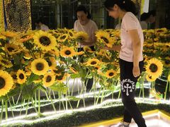 -上海外滩星空失恋减压馆(外滩旗舰馆)