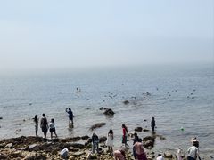 -长岛南北长山旅游景区