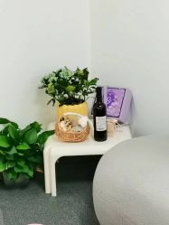 -Doris一站式游轮婚礼船东直营店(外滩店)