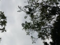 -佛山市第一中学