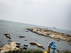 -养马岛旅游度假区