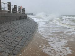 -日照灯塔风景区