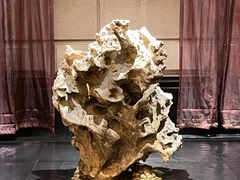 -上海1号私藏菜(黄浦店)