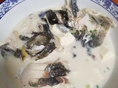 -全乐鱼馆·淳牌有机鱼直营店