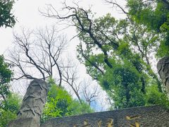 -上海佘山国家森林公园天马山园