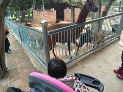 -广东茂名森林公园