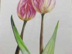 -八哥美术·成人美术画室(总校区)