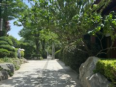 -大慈恩寺(大雁塔)