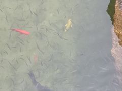 -九龙池景区