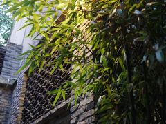 -竹吟山房