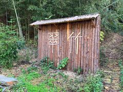 -新安江山水画廊风景区