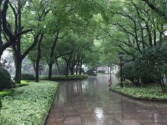 -上海虹桥迎宾馆