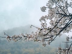 -杭州少年儿童公园