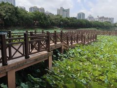 -南宁南湖公园