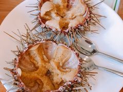 -海胆小馆(东北水饺·春柳店)