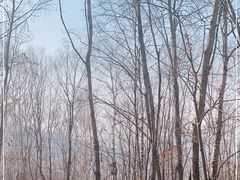 -帽儿山风景区