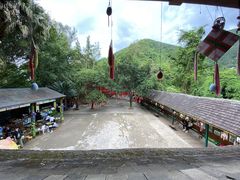 -西双版纳原始森林公园