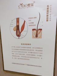 -熙朵美学植发连锁