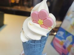 -麦当劳(温州人民路店)