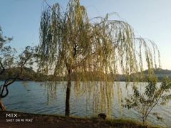 -水濂山森林公园