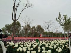 -廊坊文化艺术中心